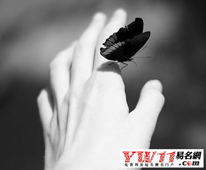 安妮寶貝經典語錄愛情