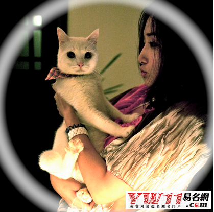 安妮寶貝經典語錄經典