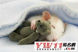 最搞笑的網(wǎng)絡(luò)游戲名字，笑死人的游戲玩家角色名字大全 www.keaidian.com