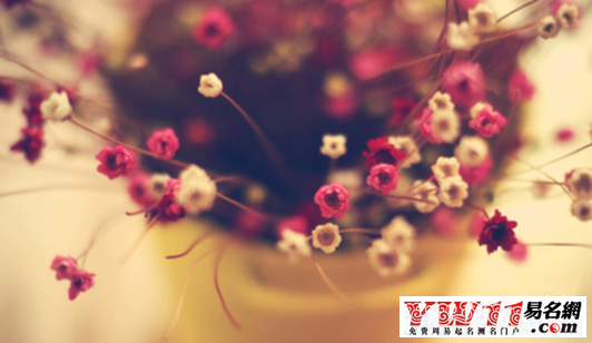 個性群網(wǎng)名