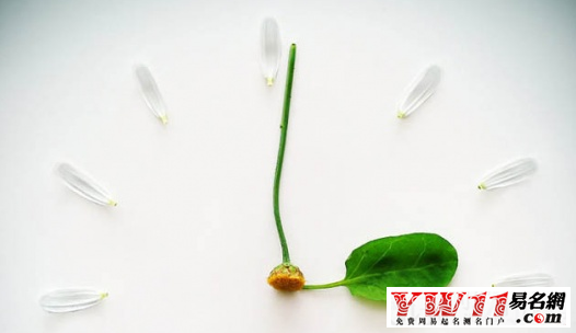 森系情侶網(wǎng)名大全，小清新的情侶名字