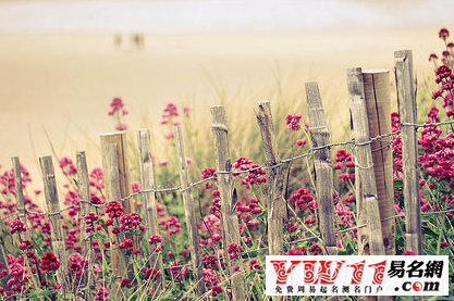 微信網(wǎng)名,簡單好聽的微信網(wǎng)名大全