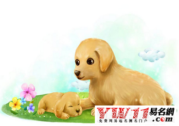 2018年五行屬什么?
