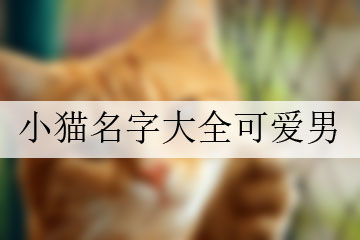小貓名字大全可愛(ài)男
