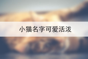 小貓名字可愛(ài)活潑