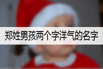 鄭姓男孩兩個字洋氣的名字