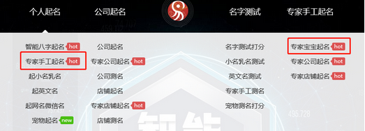 國(guó)內(nèi)起名行業(yè)排名第一的專業(yè)起名平臺(tái)：起名網(wǎng)