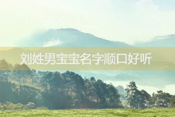 劉姓男寶寶名字順口好聽(tīng)
